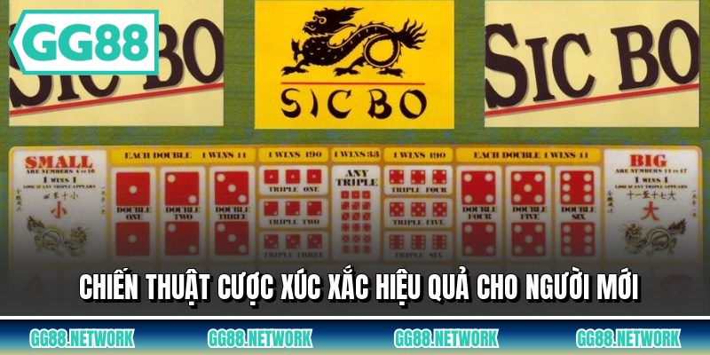 Chiến thuật cược xúc xắc hiệu quả cho người mới
