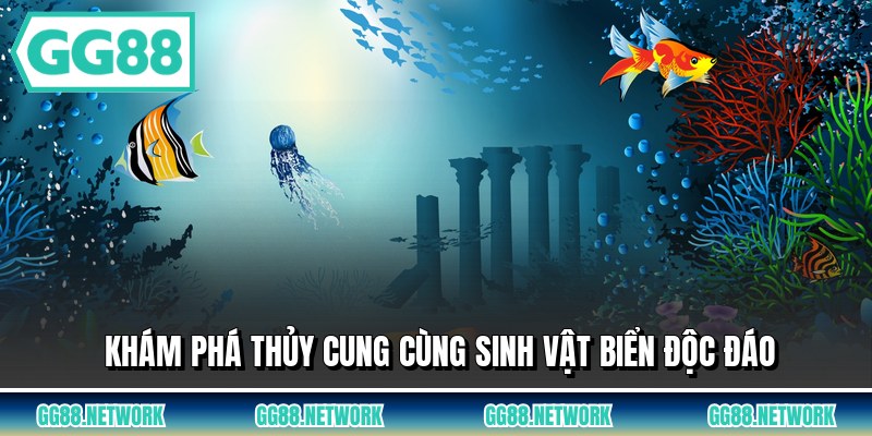Khám phá thủy cung cùng sinh vật biển độc đáo