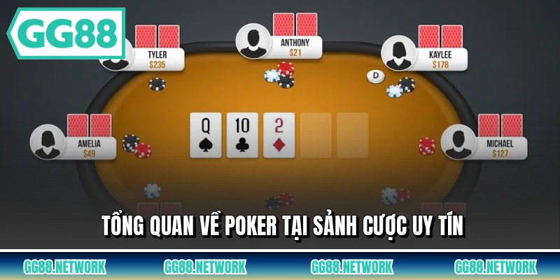 Tổng quan về poker tại sảnh cược uy tín