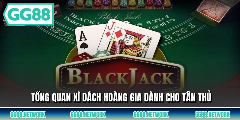 Tổng quan xì dách hoàng gia dành cho tân thủ