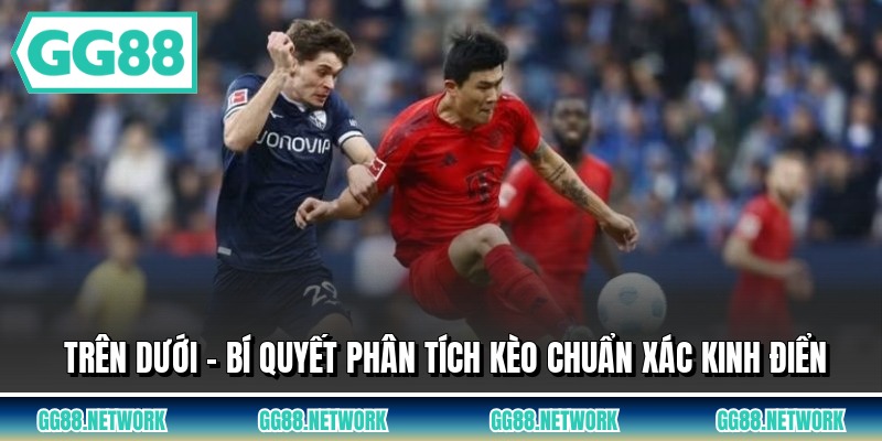 Những lỗi thường gặp khi đặt cược bóng đá